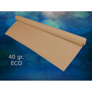 Rollo de Papel para Mesa Eco Nature 1x100m 40gsm, Papel Profesional, B2B - Product Image 1