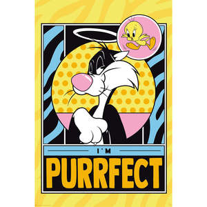 Modern Looney Tunes <b>Poster</b> Featuring Sylvester & Tweety Made of Durable Paper - Product Image 1