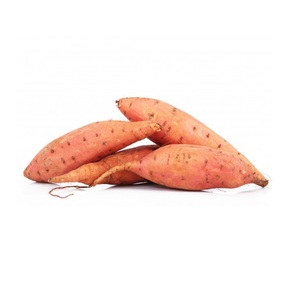 Precio al por mayor de verduras frescas: Batatas en stock disponible para la venta - Product Image 1