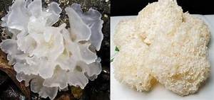 FUNGO DE NIEVE SECO A BASE DE PLANTAS PREMIUM ETIQUETA LIMPIA NATURAL SOPORTE INMUNE - Product Image 6