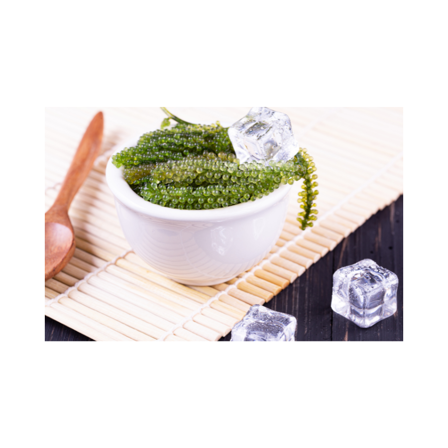 Морской виноград Caulerpa Lentillifera премиум-класса водоросли, любимые поварами и экспертами по оздоровлению со всего мира