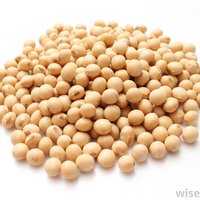 Achetez des graines de soja jaunes séchées biologiques pour la germination, non-OGM, de haute qualité, en vrac