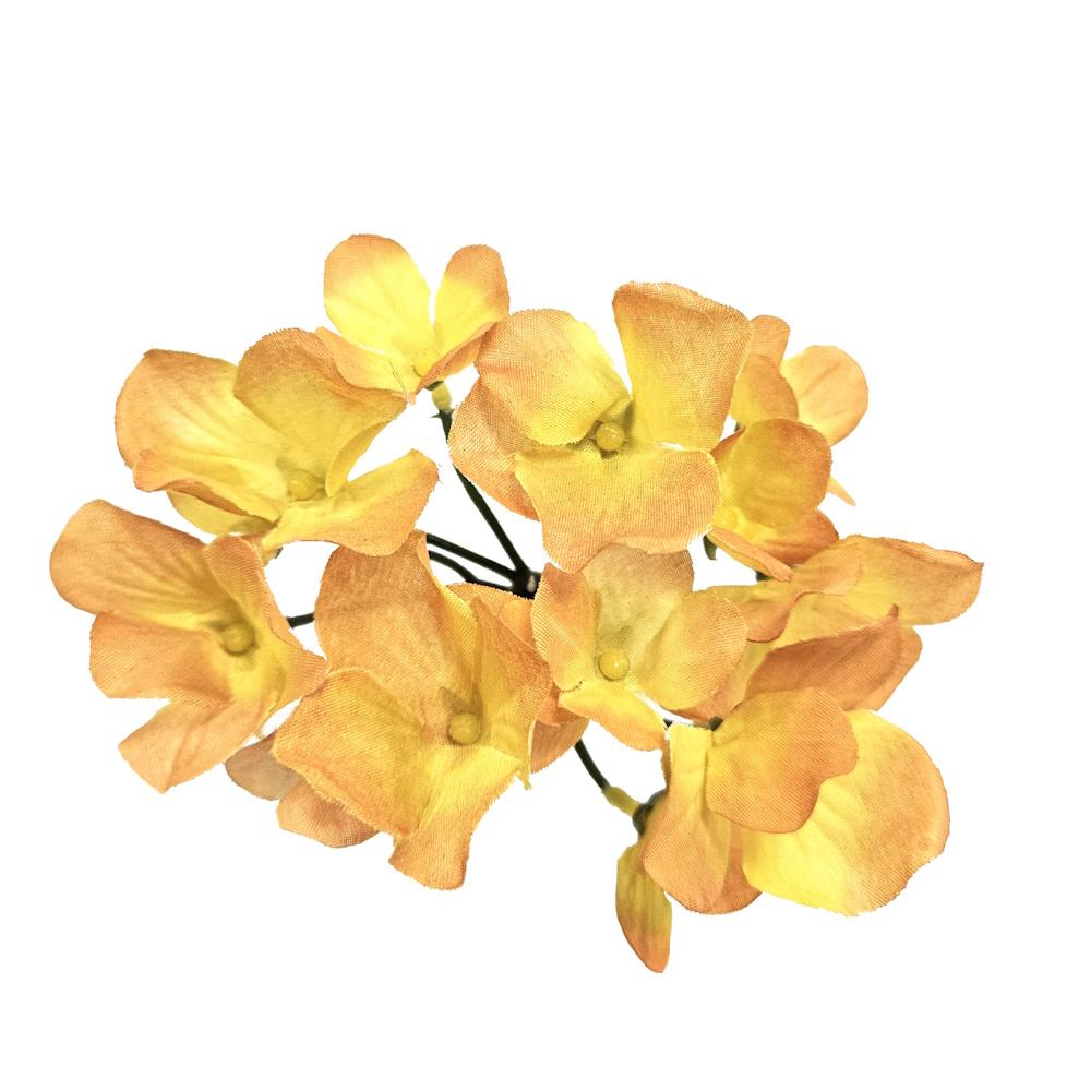 สีเหลือง/เหลือง