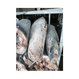 Vente en gros bon marché Fournisseur HGT de poisson épée congelé Prix de Offre Spéciale en vrac HGT de poisson épée de fruits de mer surgelés Stock de poisson frais congelé - Product Image 3