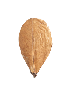 Paquete de 1000 piezas de calidad fina de 21-25cm hojas de limpieza de mascotas de plástico de almendra India 8,26-9,8 \ "para mascotas - Product Image 6