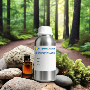 Bêta-caryophylène 1 kg, composé aromatique naturel issu de graines, pour la saveur et la fragrance, avec des notes sucrées et boisées - Product Image 3