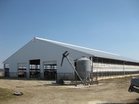 Structure en acier ouverte et durable pour élevage de volailles, de chèvres, de vaches laitières et de bovins de race Boer