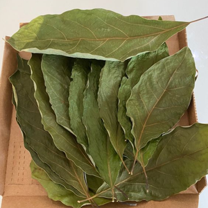 ทุเรียนเทศแห้งจากเวียดนามใบบริสุทธิ์100เปอร์เซ็นต์ - Product Image 6