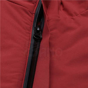 Chaqueta Bomber de Nylon/Poliéster para Hombre, Cuello Alto, Estilo Urbano, Invierno, Personalizada, de la Mejor Calidad, Venta al Por Mayor - Product Image 2