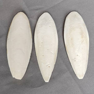 Os de seiche concassés pour l'alimentation des oiseaux, couleur naturelle et os de seiche blanchis, en carton. - Product Image 6