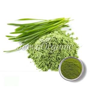 Hot bán cao cấp chất lượng hữu cơ Wheatgrass bột thảo dược chiết xuất nước trái cây bột Chất lượng cao loại - Product Image 1
