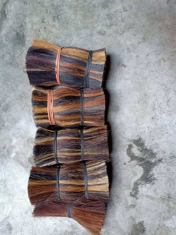 ธรรมชาติ