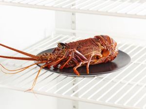 Langostas Australianas Congeladas de Primera Calidad, Mariscos Crudos Enteros para Exportación, Restaurantes y Suministro Minorista - Product Image 3