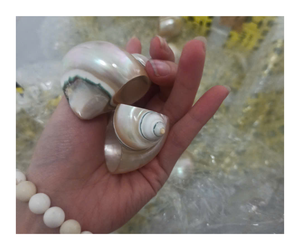 Nueva toalla hecha a mano Seashell Crafts Decoración DIY Shell Crafts - Product Image 1
