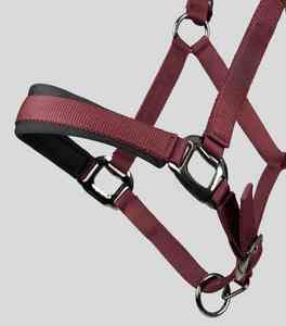 Cabestro Tradicional Inglés para Caballo, Calidad Premium para Salto al Aire Libre y Entrenamiento Diario - Product Image 6