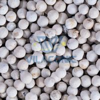 Poudre de poivre blanc standard d'exportation 630GL de grande pureté, arôme fort, emballage au détail et en vrac disponible