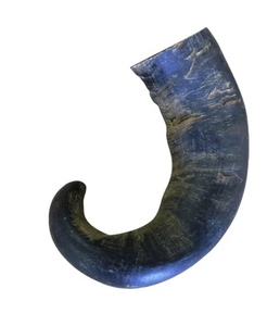 Búfalo/buey/vaca cuerno crudo India pulido Vintage 34648 tallado náutico Animal Material orgánico cuerno perro fabricación de alimentos - Product Image 6