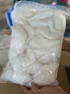 Trozos de coco congelados IQF: 100% naturales, listos para usar para batidos, postres y exportación por 99 Gold Data - Product Image 2