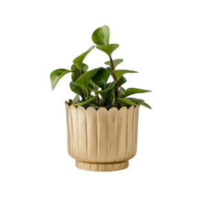 Meilleures ventes Jardinières décoratives de jardin Nouvelles jardinières décoratives luxueuses Conteneur de plantes Jardinières en métal de qualité supérieure avec support - Product Image 2