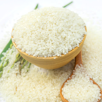Wholesale Vietnamese Organic Rice 100% Fragrant White Rice Export Best Quality Vietnamese Rice