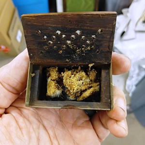 Little Birdie MDF Box con pestillo Rectángulo Mdf Box Venta caliente Regalos y manualidades Cajas de madera Letreros de pared Hecho EN LA India - Product Image 5