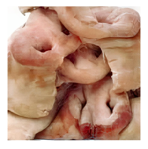 Múltiples narices de cerdo congeladas para uso culinario - Product Image 3