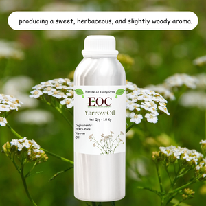 यारो आवश्यक तेल भाप डिस्टिल्ड ऑम निर्यात गुणवत्ता के साथ मीठे वुडी ओएम निर्यात गुणवत्ता के साथ - Product Image 2