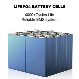 LiFePo4 pil paketi 12V 24V 48V 50Ah 200200ah 300Ah 4000 döngü lityum demir piller dahili BMS RV tekne ev kullanımı - Product Image 3