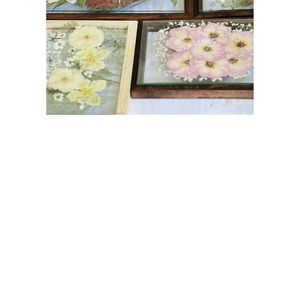 สินค้า ดอกไม้แห้ง กรอบผนัง ศิลปะ ตกแต่งบ้าน ดอกไม้และพืชที่เก็บรักษาไว้ ภาพวาดตกแต่งโต๊ะย้อนยุคธรรมชาติ - Product Image 5