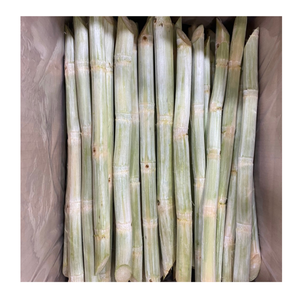 Palitos de caña de azúcar congelados pelados de Vietnam caña de azúcar congelada para exportar a la industria de servicios de alimentos y bebidas - Product Image 6