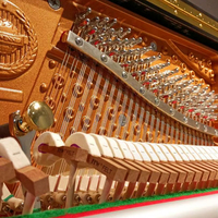 Top Winner B100 Upright Piano Excellent Sound Delicate Touch Suitable All Levels 88 keys Rich Warm Tone Black Piano