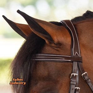 Brida de cuero de caballo Nuevo estilo inglés Brida de doma Piel de vaca genuina Caballo Headstall Cuero Premium para productos de caballo - Product Image 6