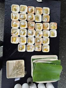 Vajilla Desechable de Hoja de Palma Areca para Picnic, Plato para Llevar, Artesanía de Palma Areca, Venta Caliente 2025 - Product Image 2