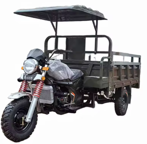 Nuevo Estilo Triciclo Motorizado de Carga de 250cc 350cc, Motocicleta de 3 Ruedas, Triciclo Eléctrico de Gasolina para Trabajos Pesados - Product Image 1