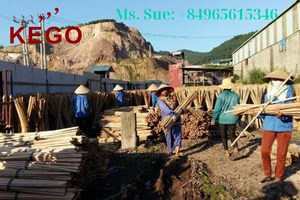 ด้ามไม้กวาดไม้มีเพียง0.1 usd/ชิ้นพร้อมไม้กวาด PVC และไม้กวาดไม้ยูคาลิปตัส - Product Image 3