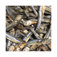Petite taille frais 100% fruits de mer délicieux en gros nouveau poisson d'anchois gris râpé séché du Vietnam Elysia 0084789310321