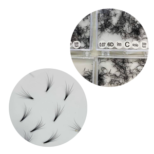 Cils préfabriqués 6D Camelia couleur marron cils naturels accessoires de beauté cils modernes fabricant du Vietnam - Product Image 3