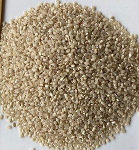 Arroz blanco suave orgánico japonés vietnamita 5% roto (arroz de grano corto) cocción de alimentos duros secos 0084398885178 - Product Image 5