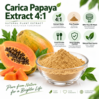 Poudre d'extrait de papaye LongBio Carica 4:1, extrait naturel de plante de papaye pour compléments alimentaires et boissons, OEM ODM