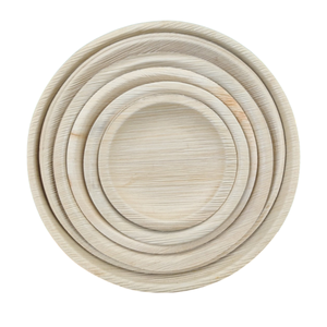 จาน Areca ขนาด10นิ้วที่เป็นมิตรต่อสิ่งแวดล้อมมีตัวเลือกฉลากส่วนตัวสำหรับภาชนะอาหารเย็นขายปลีกและแบรนด์จัดเลี้ยง - Product Image 2