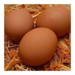 ไข่ไก่สดจำนวนมาก-ซัพพลายเออร์ที่ผ่านการตรวจสอบ, ฟาร์มสด, เกรด - Product Image 3