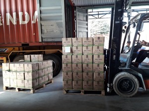 Jugo de Morinda de Vietnam, jugos enlatados de morera india, Morinda Citrifolia, nueva cosecha - Product Image 5