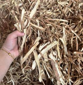 Raíz de Curculigo Roja Seca de Vietnam al por Mayor / Areca catechu / Suministro a Granel de Materia Prima Herbal - Product Image 6