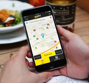 Desarrollo de Aplicaciones de Taxi para Transferencias al Aeropuerto en EE. UU. con Seguimiento de Número de Vuelo, Servicio de Bienvenida y Cálculo del Tiempo de Espera - Product Image 1