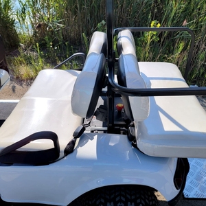 VENTA AL POR MAYOR ENVÍO GRATUITO NUEVA OFERTA PARA CARRO DE GOLF ELÉCTRICO DE 6 PLAZAS - Product Image 3