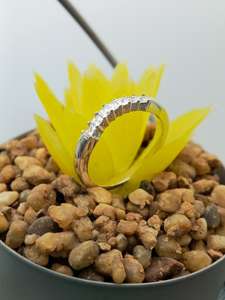 Custom Fancy 100% Satisfacción Garantizada Solitario VVS Natural Compromiso Anillo de bodas 14K 18K Oro y 925 Conjunto de plata de moda - Product Image 5