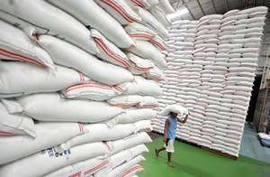 Beras <span class=keywords><strong>Basmati</strong></span> 2023 kualitas Premium terbaik 1121 beras Sella <span class=keywords><strong>Basmati</strong></span> tersedia tersedia beras organik