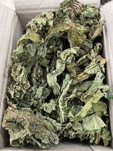 Feuilles de papaye séchées du Vietnam en gros, Carica Papaya, approvisionnement direct en usine, en vrac, pour l'emballage de sachets de thé et la marque OEM - Product Image 4