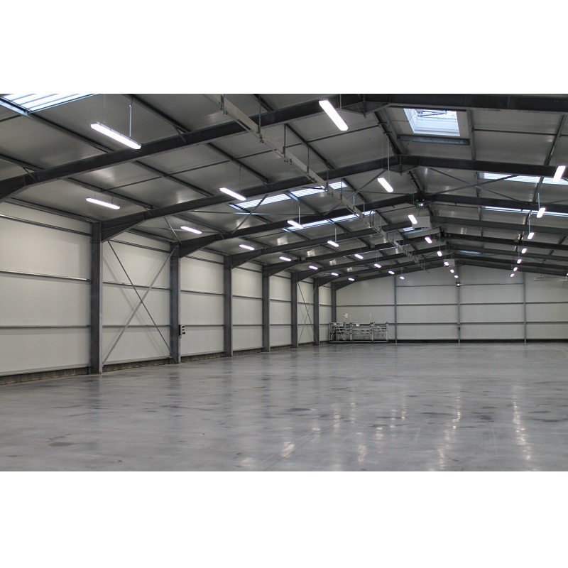 Steel Structure Building Manufacturing Factory Prefabricated