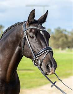 Bride équestre Bride verni en cuir avec rembourrage blanc. Raccords en acier inoxydable et coutures assorties - Product Image 3